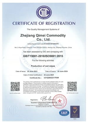 ISO9001