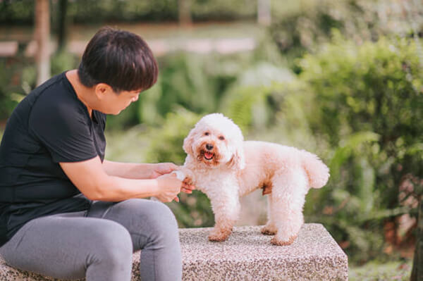pet wipes